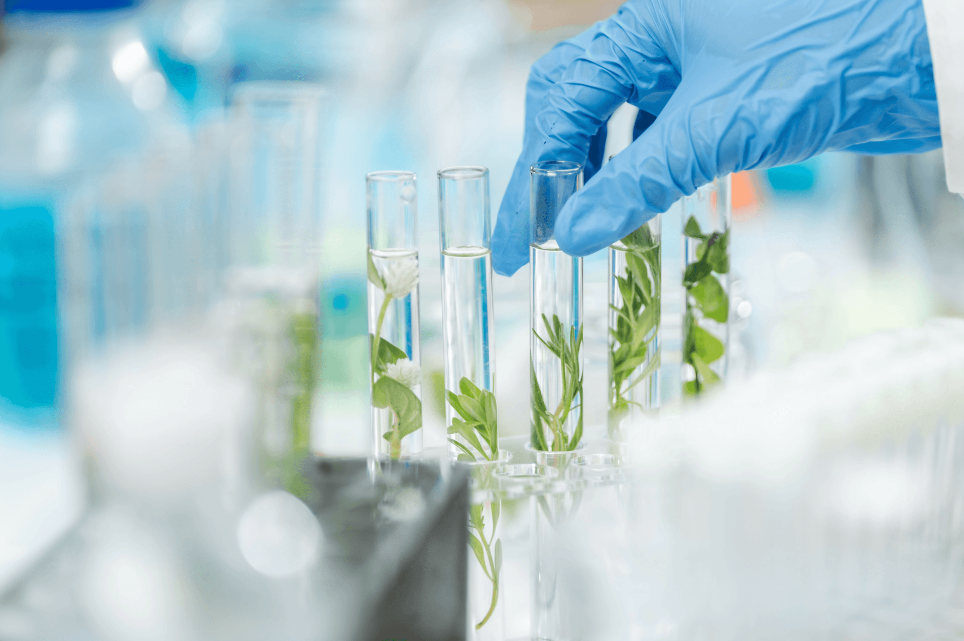biotechnology